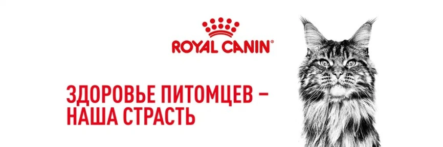 Сухой корм Royal Canin Maine Coon для кошек, 400 г фото 19