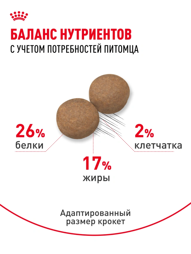 Сухой корм Royal Canin Maxi Adult для собак, 15 кг фото 16