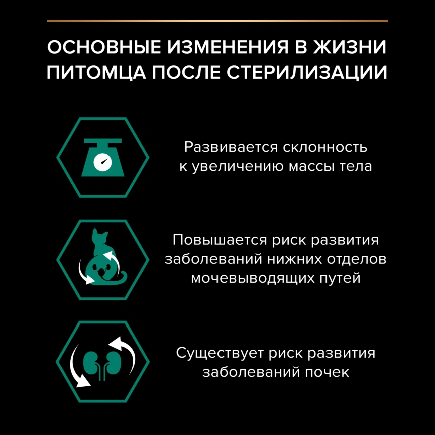 Сухой корм Purina Pro Plan Cat Adult Sterilised для стерилизованных кошек, с индейкой, 3 кг фото 3
