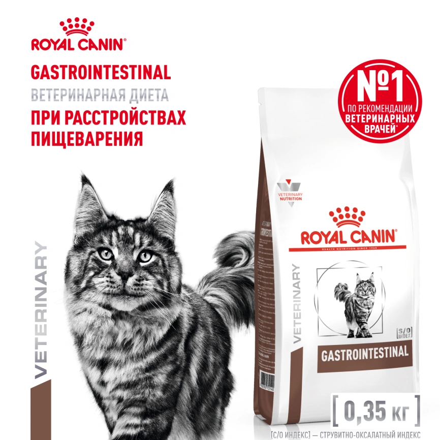 Сухой корм Royal Canin Gastrointestinal для кошек, 350 г фото 1