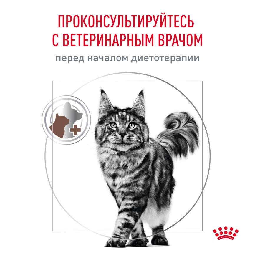 Влажный диетический корм Royal Canin Gastrointestinal для кошек при расстройствах пищеварения, пауч, 85 г фото 6