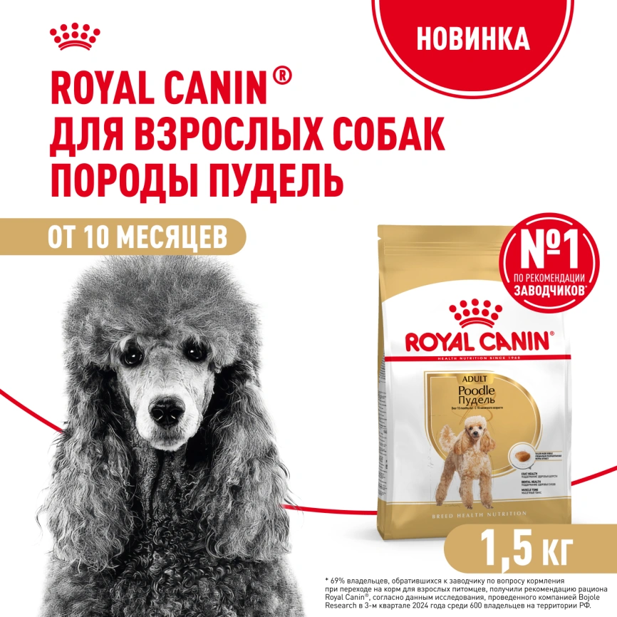 Сухой корм Royal Canin Poodle Adult для взрослых собак, 1.5 кг фото 1