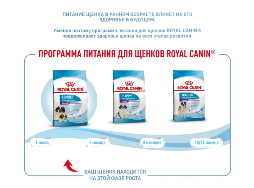 Сухой корм Royal Canin Giant Starter Mother & Babydog для щенков и собак, 15 кг фото 9