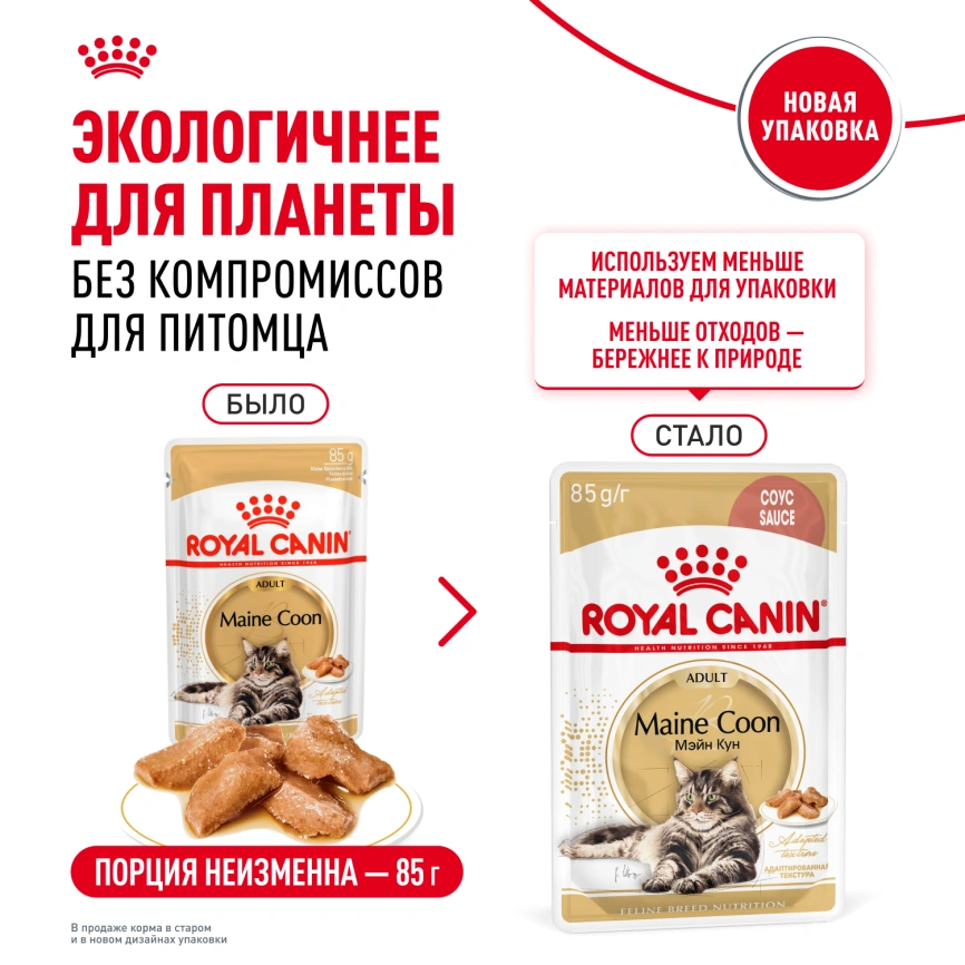 Влажный корм Royal Canin Maine Coon в соусе для кошек породы мейн-кун и других крупных пород старше 1 года, пауч, 85 г фото 10