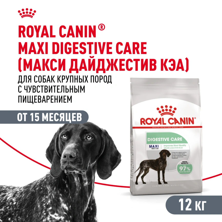 Сухой корм Royal Canin Maxi Digestive Care для собак, 12 кг фото 1