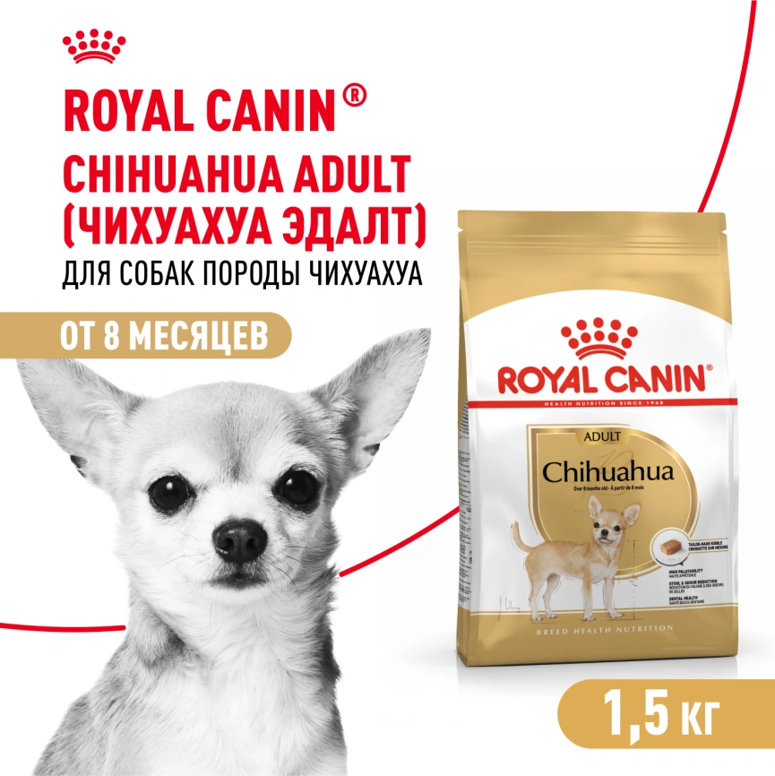 Сухой корм Royal Canin Chihuahua Adult для собак породы чихуахуа, 3 кг фото 16