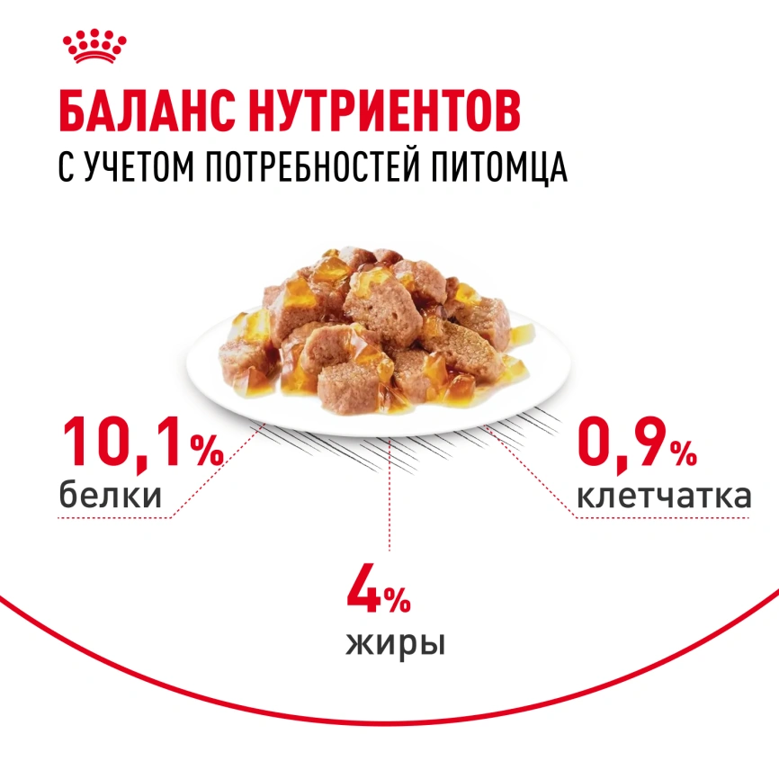Влажный корм Royal Canin Hair &amp; Skin Care в желе для взрослых кошек старше 1 года, пауч, 85 г фото 5