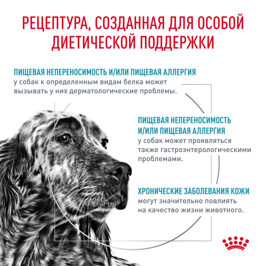 Сухой корм Royal Canin Hypoallergenic для собак, 14 кг фото 5