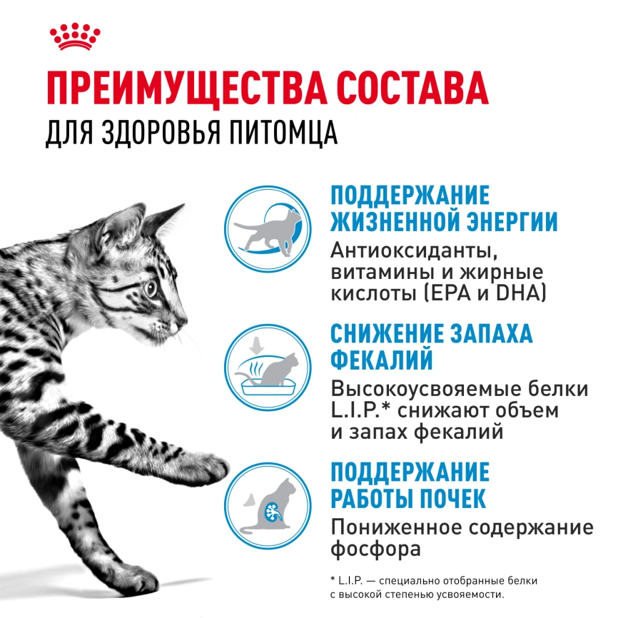 Сухой корм Royal Canin Indoor 7+ для кошек, 1,5 кг фото 6