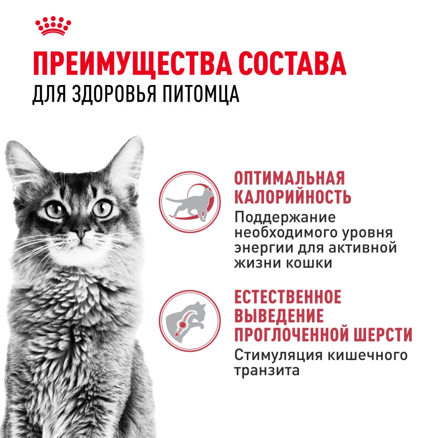 Сухой корм Royal Canin Fit для кошек, 15 кг фото 2
