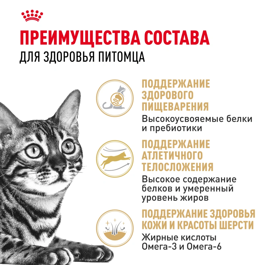 Сухой корм Royal Canin Bengal для кошек бенгальской породы, 2 кг фото 3