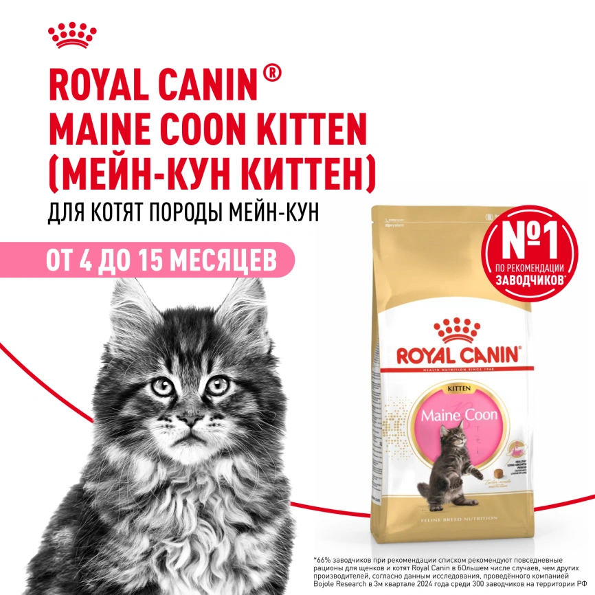 Сухой корм Royal Canin Kitten Maine Coon для котят, 2 кг фото 14