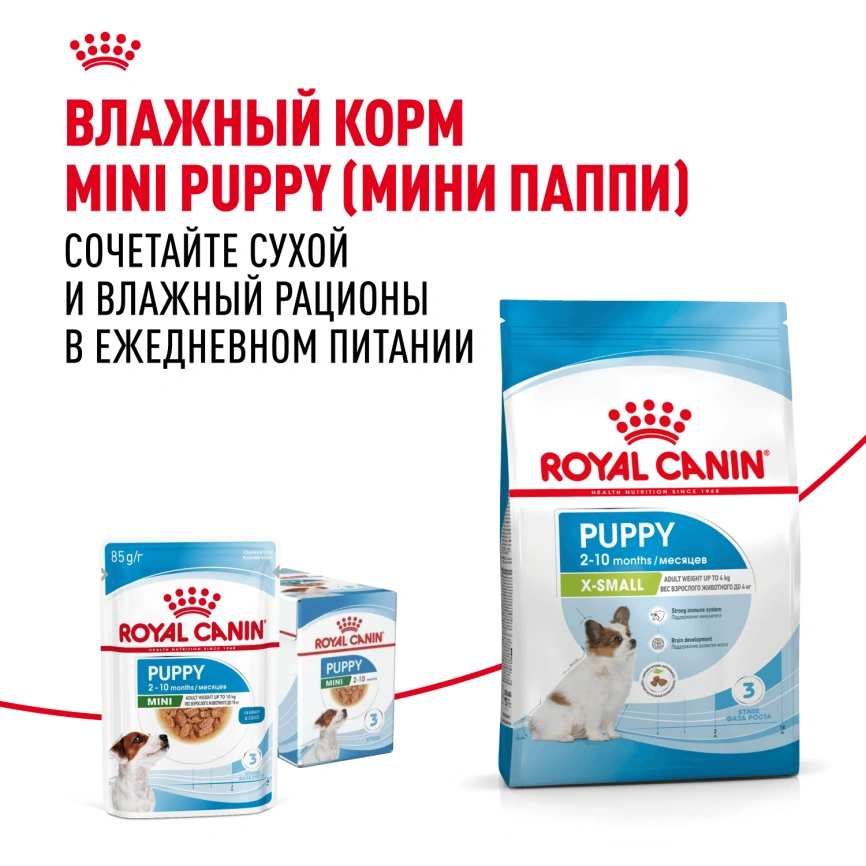 Сухой корм Royal Canin X-Small Puppy для щенков, 1.5 кг фото 9