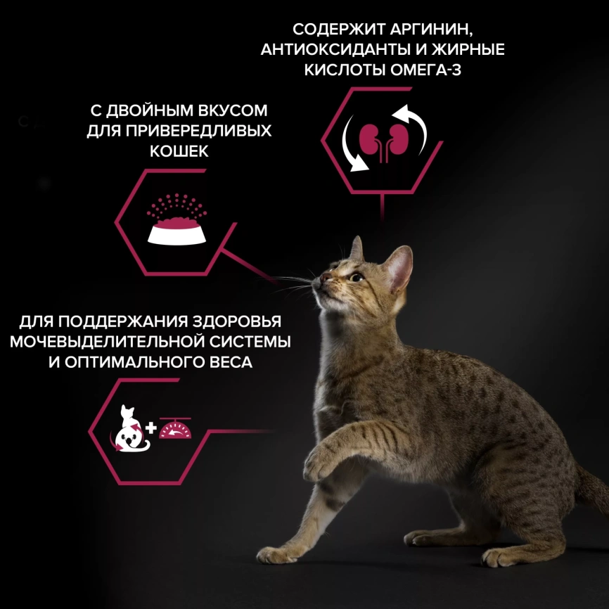 Сухой корм PRO PLAN Duck &amp; Liver для взрослых стерилизованных кошек и кастрированных котов, с высоким содержанием утки и печенью, 400 г фото 3