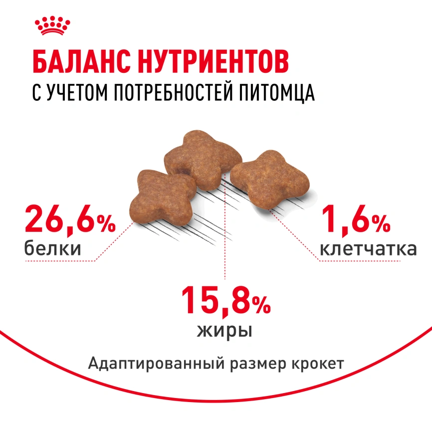 Сухой корм Royal Canin Mini Adult 8+ для пожилых собак, 4 кг фото 4