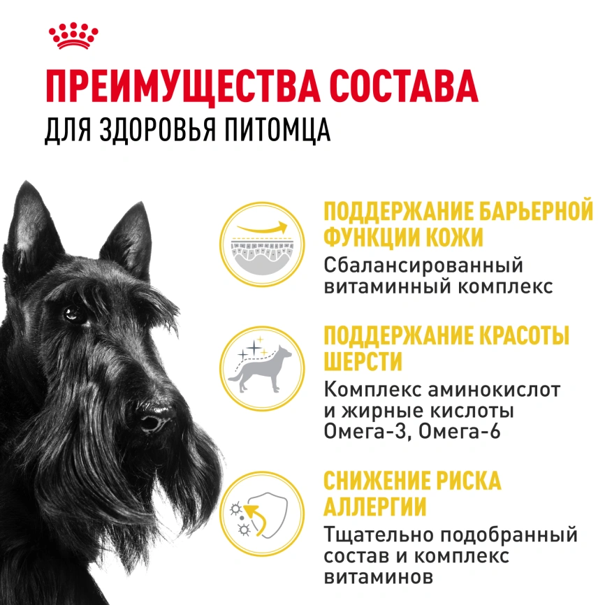Сухой корм Royal Canin Mini Dermacomfort для собак, 1 кг фото 3