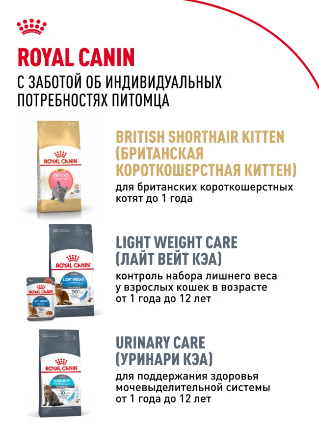 Сухой корм Royal Canin British Shorthair для кошек породы британская короткошерстная, 400 г фото 28