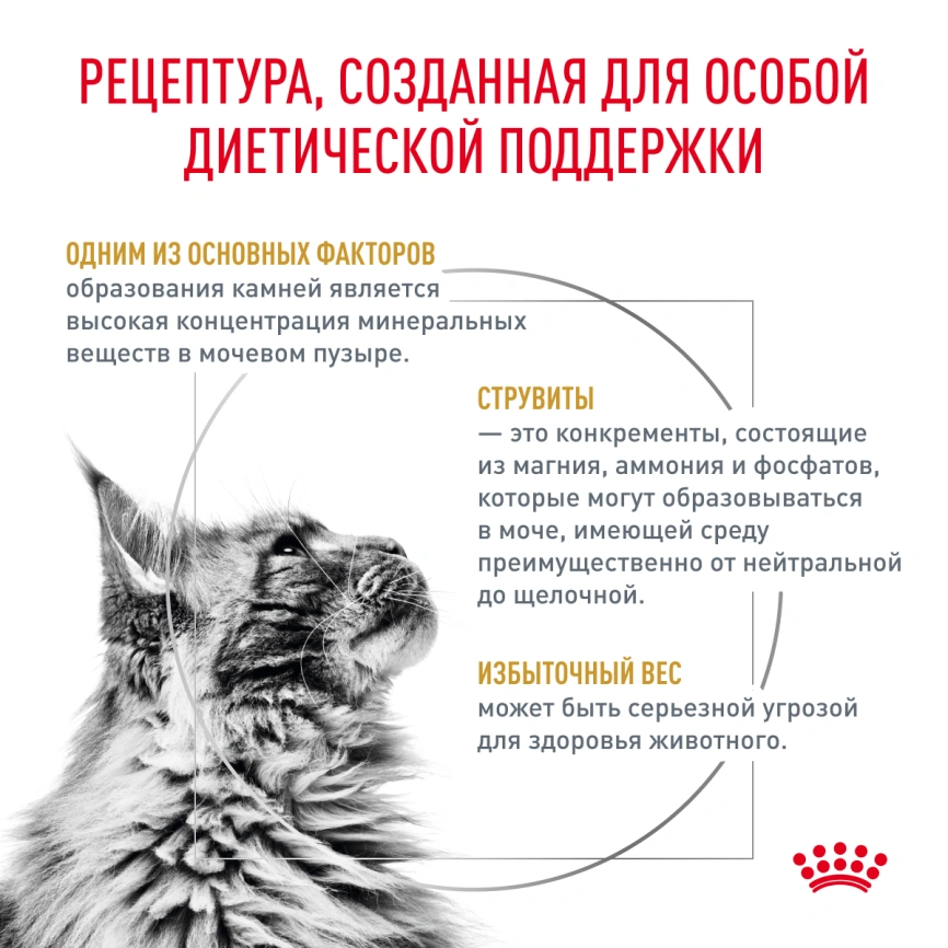 Сухой корм Royal Canin Urinary S/O Moderate Calorie для кошек, 350 г фото 3
