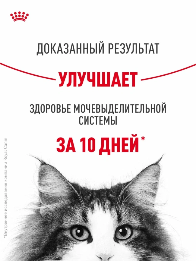 Сухой корм Royal Canin Urinary Care для поддержания здоровья мочевыделительной системы кошек, 2 кг фото 5