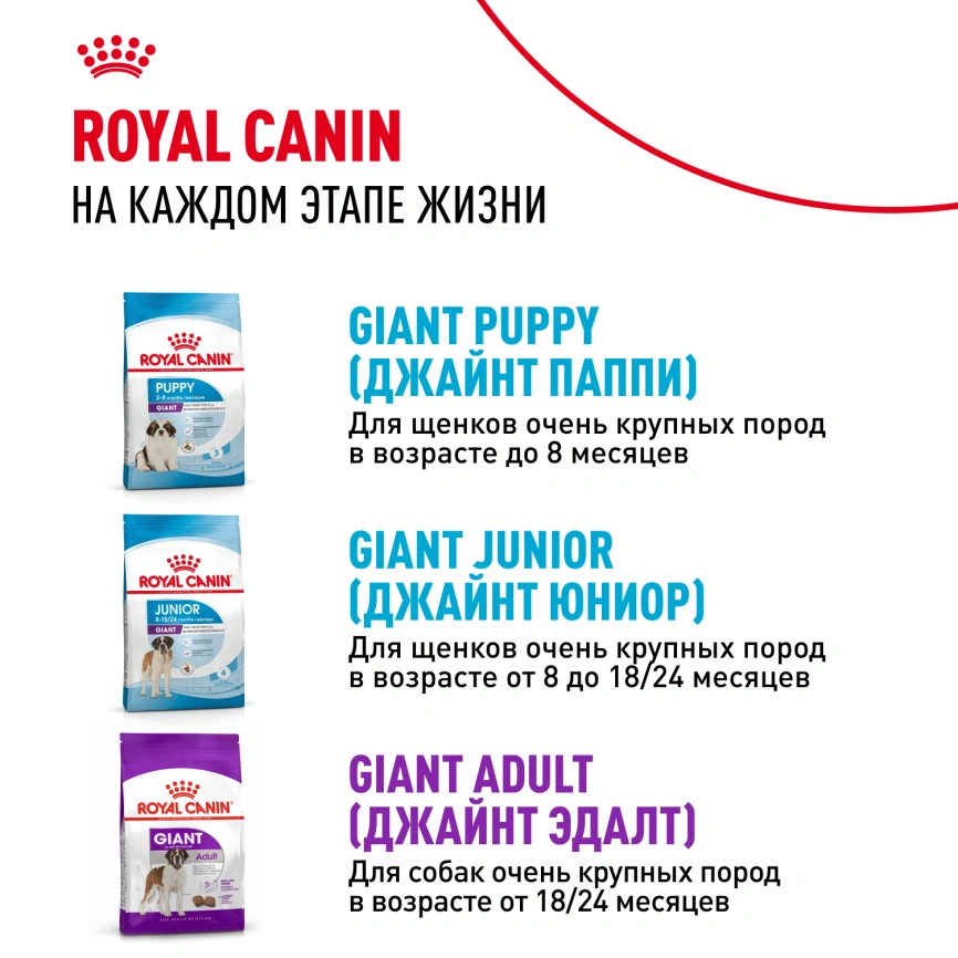 Сухой корм Royal Canin Giant Starter Mother &amp; Babydog для щенков и собак, 4 кг фото 9