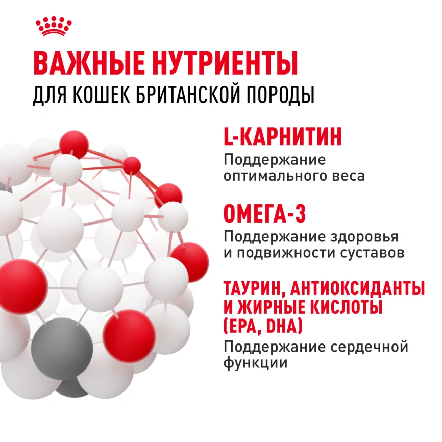 Сухой корм Royal Canin British Shorthair для кошек породы британская короткошерстная, 4 кг фото 5