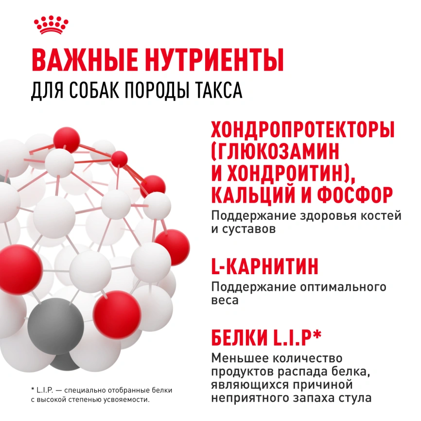 Сухой корм Royal Canin Dachshund Adult для собак породы такса, 7,5 кг фото 5