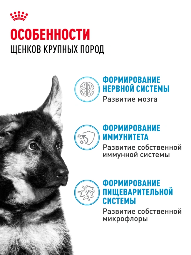Сухой корм Royal Canin Maxi Puppy для щенков, 15 кг фото 19
