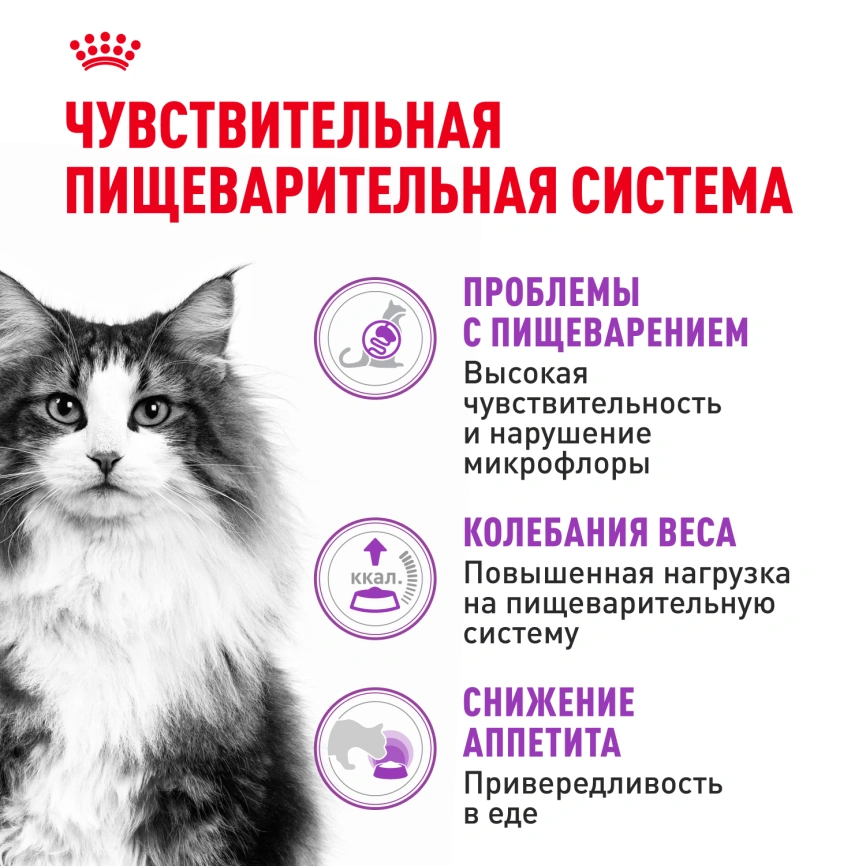 Сухой корм Royal Canin Sensible для кошек, 1.2 кг фото 3