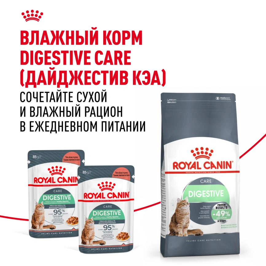Сухой корм Royal Canin Digestive Care для кошек, 10 кг фото 10
