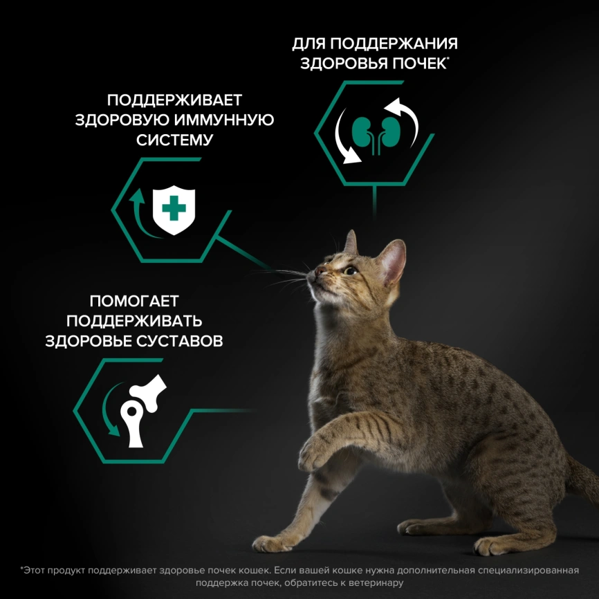 Сухой корм Purina Pro Plan Cat Adult Renal Plus для взрослых кошек, с курицей, 3 кг фото 3