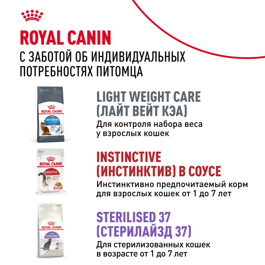 Влажный корм Royal Canin Indoor в соусе для кошек, живущих в помещении, пауч, 85 г фото 10
