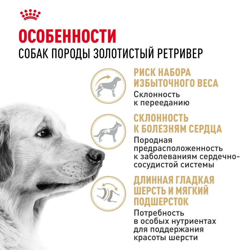 Сухой корм Royal Canin Golden Retriever Adult для собак, 3 кг фото 2