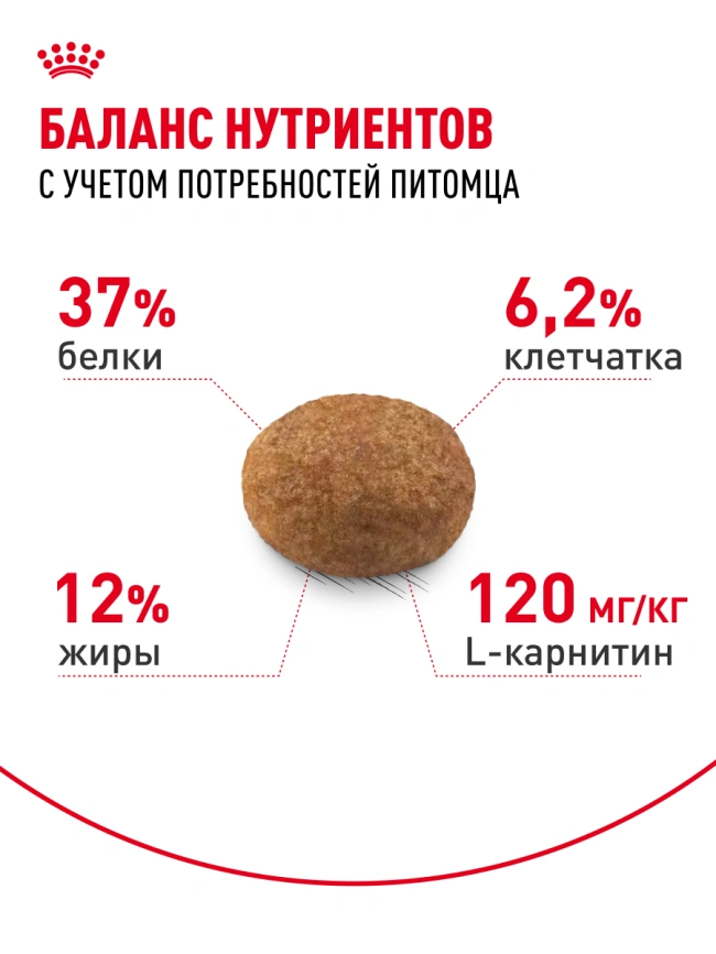 Сухой корм Royal Canin Sterilised для кастрированных котов и стерилизованных кошек, 4 кг фото 4