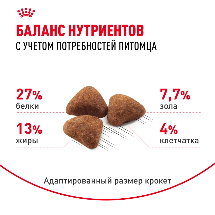 Сухой корм Royal Canin Indoor для кошек, 4 кг фото 4