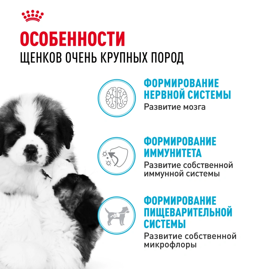 Сухой корм Royal Canin Giant Puppy для щенков, 3.5 кг фото 2