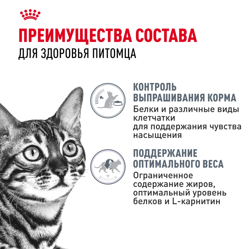 Сухой корм Royal Canin Appetite Control Care для кошек для контроля аппетита, 2 кг фото 3