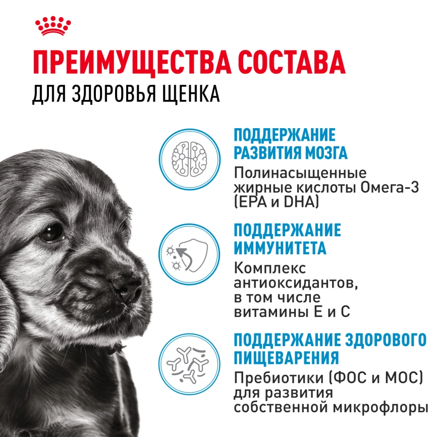 Влажный корм Royal Canin Mini Puppy в соусе для щенков мелких пород до 10 месяцев, пауч, 85 г фото 13