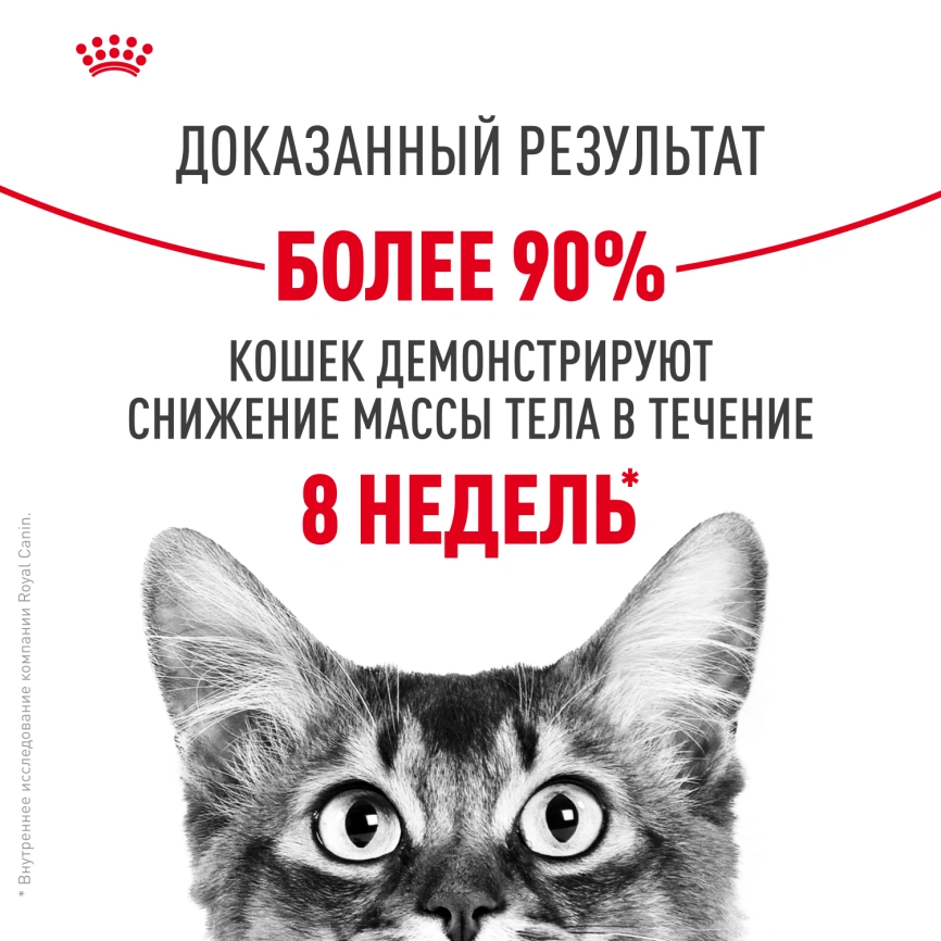Сухой корм Royal Canin Light Weight Care для кошек, 400 г фото 11