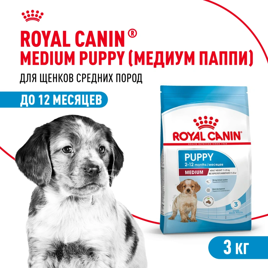 Сухой корм Royal Canin German Shepherd Puppy для щенков, 12 кг фото 1