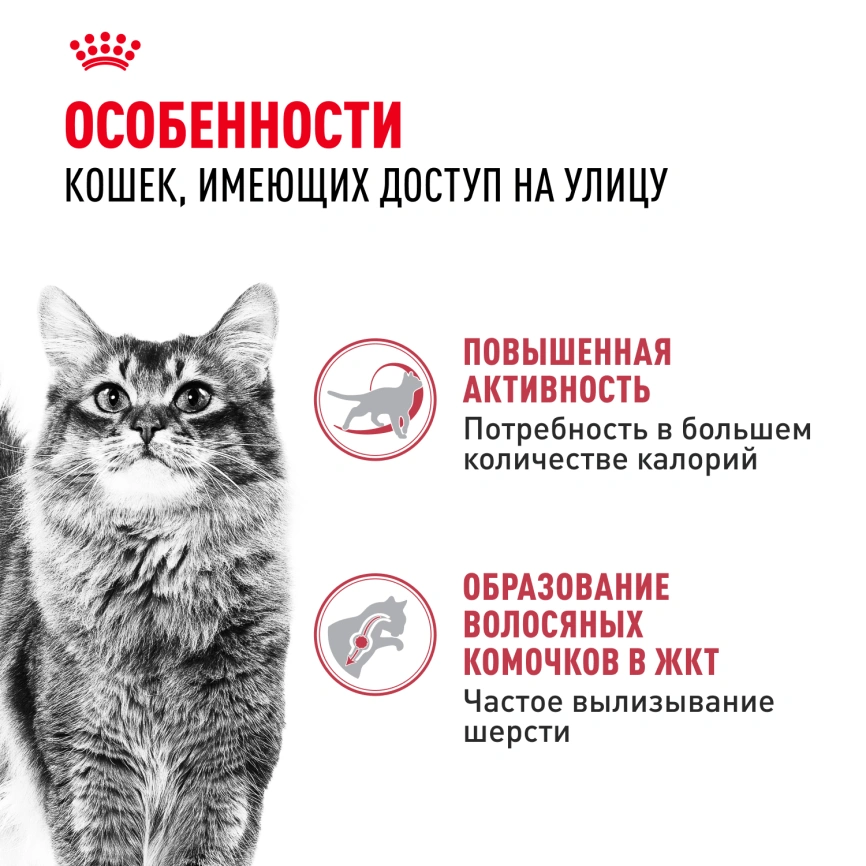 Сухой корм Royal Canin Fit для кошек, 4 кг фото 3