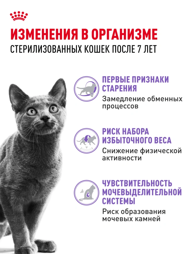 Сухой корм Royal Canin Sterilised 7+ для стерилизованных кошек и кастрированных котов, 3.5 кг фото 15