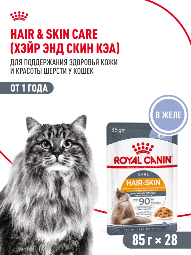Влажный корм Royal Canin Hair &amp; Skin Care в желе для взрослых кошек старше 1 года, пауч, 85 г фото 17