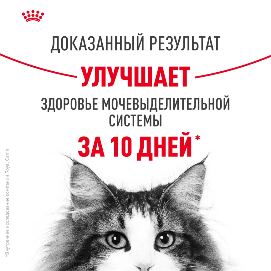 Сухой корм Royal Canin Urinary Care для кошек для профилактика МКБ, 400 г фото 4