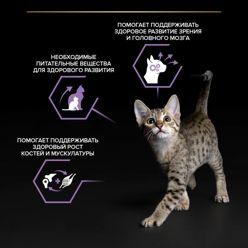 Влажный корм Purina Pro Plan Kitten Healthy Start для котят, с индейкой в соусе, 85 г фото 2