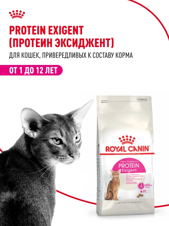 Сухой корм Royal Canin Protein Exigent для кошек, 400 г фото 13