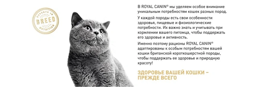 Сухой корм Royal Canin British Shorthair для кошек породы британская короткошерстная, 10 кг фото 17