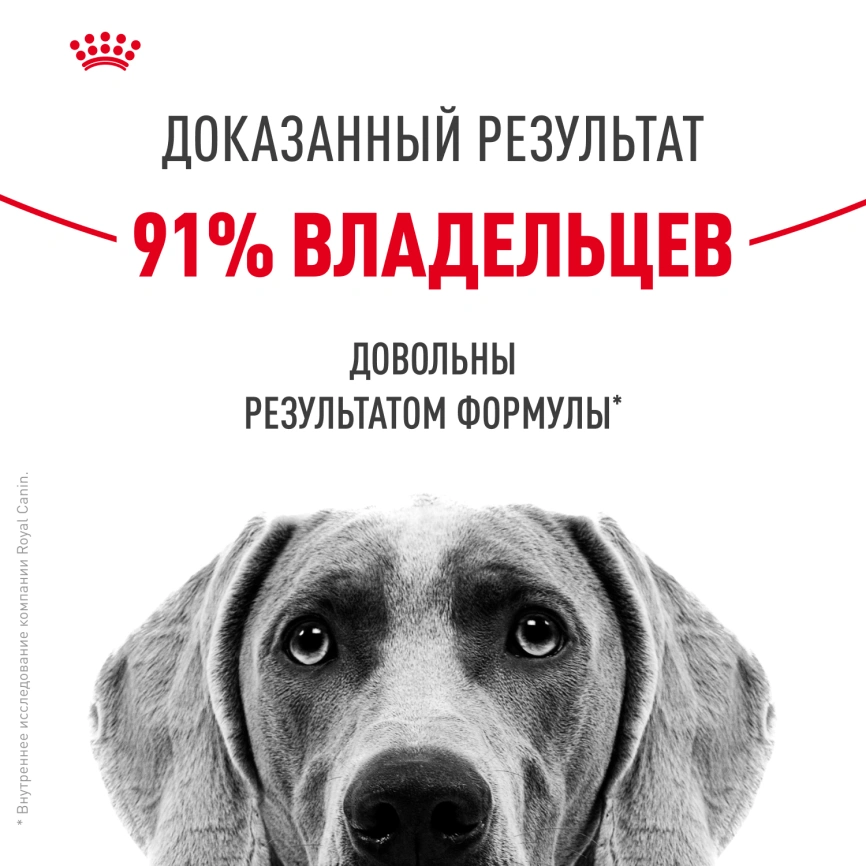 Сухой корм Royal Canin Medium Dermacomfort для собак, 10 кг фото 10