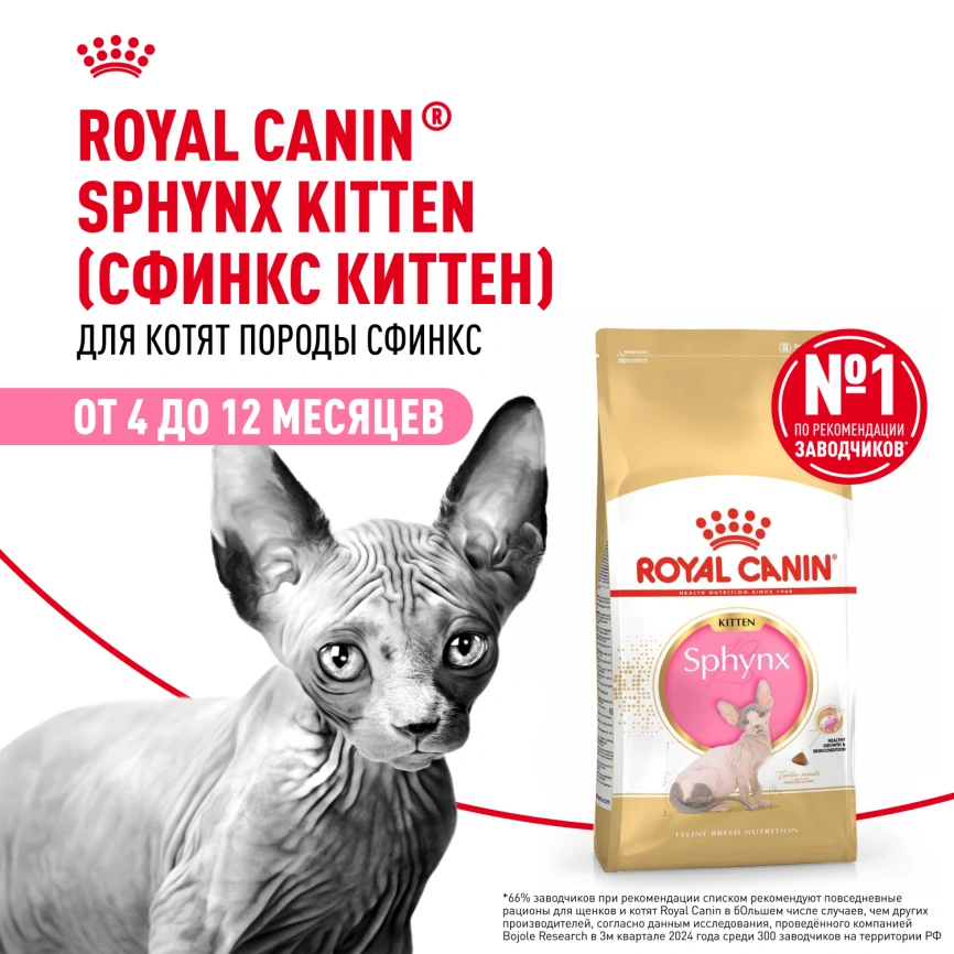 Сухой корм Royal Canin Kitten Sphynx для котят, 400 г фото 13