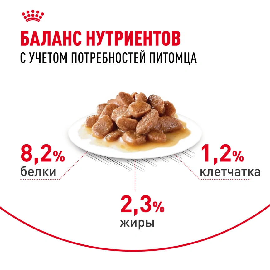 Влажный корм Royal Canin Appetite Control Care в соусе для взрослых кошек, для контроля выпрашивания корма, пауч, 85 г фото 4
