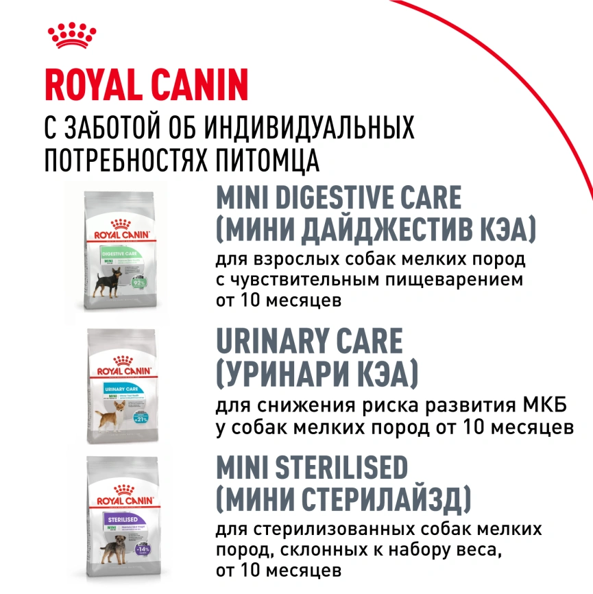 Сухой корм Royal Canin Chihuahua Adult для собак породы чихуахуа, 3 кг фото 8